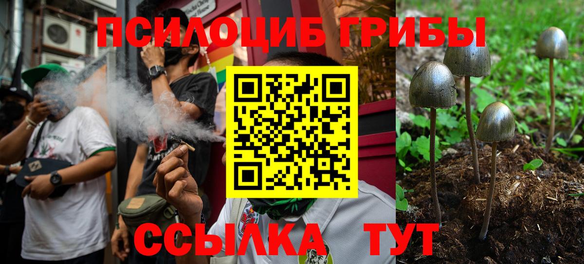 купить наркотик  Псилоцибиновые грибы Psilocybine cubensis  Вход с VPN  Стерлитамак 