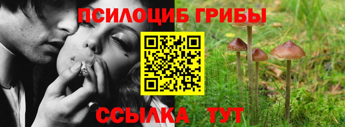Псилоцибиновые грибы GOLDEN TEACHER Стерлитамак